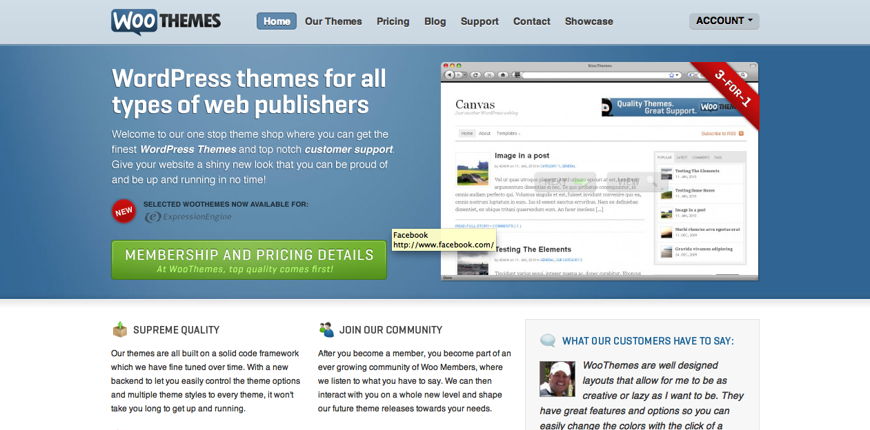 Interview With Adriaan (Adii) Pienaar of WooThemes + Giveaway