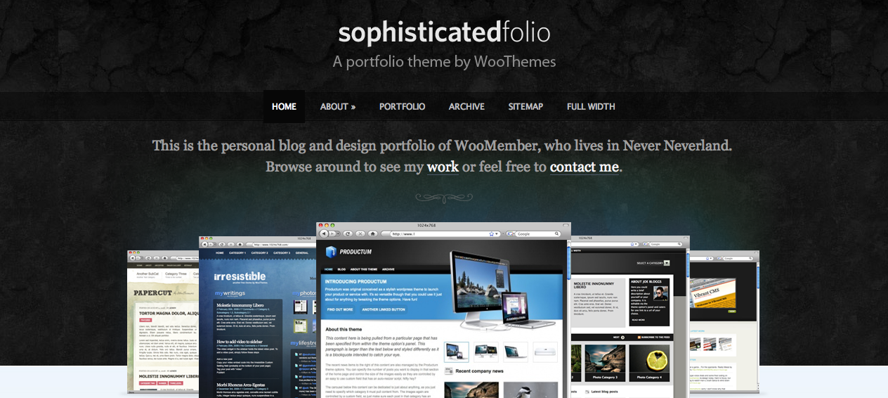 Interview With Adriaan (Adii) Pienaar of WooThemes + Giveaway